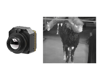 Uncooled Thermal Camera Module LWIR 640x512 17μM for Security