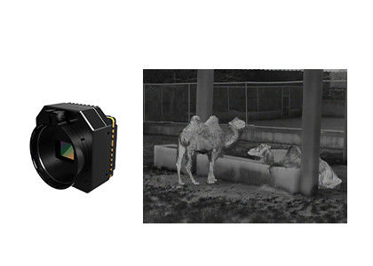 Kamera Keamanan Termal Sensitivitas Tinggi Modul Infrared Tidak Dingin