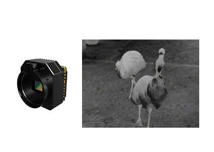 Modul Kamera Keamanan Termal InfraMerah yang Tidak Dingin Dengan Lensa Berbagai