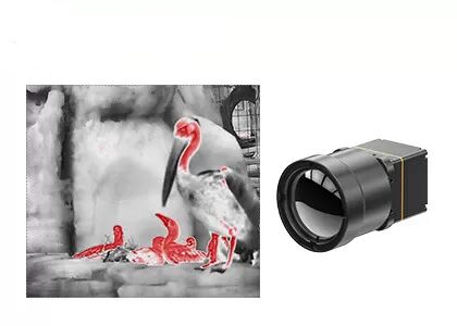 TWIN612 Thermal Imaging Module Sharp & Clear Images with ±2℃ or ±2% Accuracy